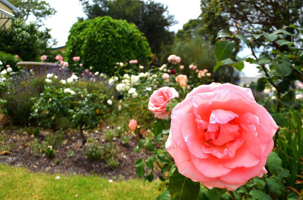 アルバニー Dunmoylen House Bed & Breakfast 部屋 写真