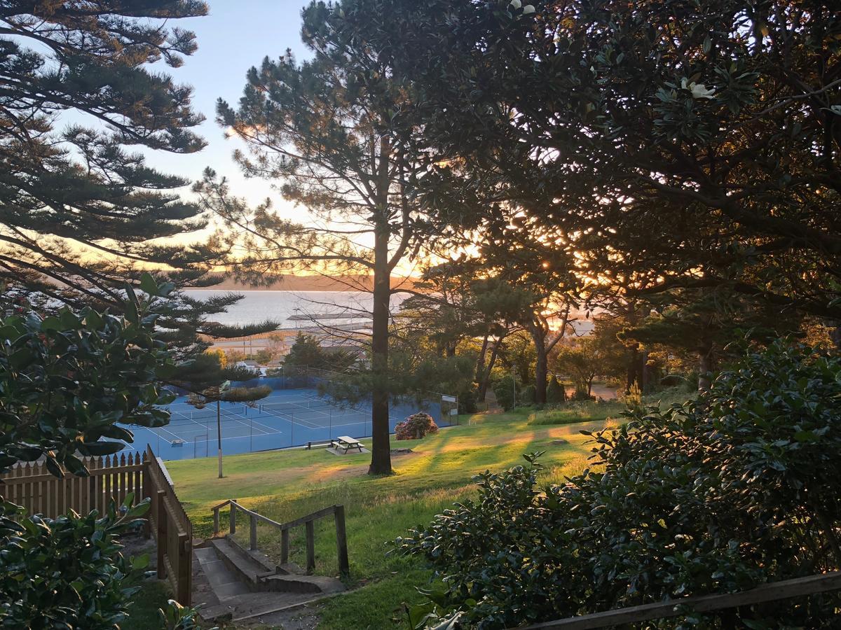 アルバニー Dunmoylen House Bed & Breakfast エクステリア 写真
