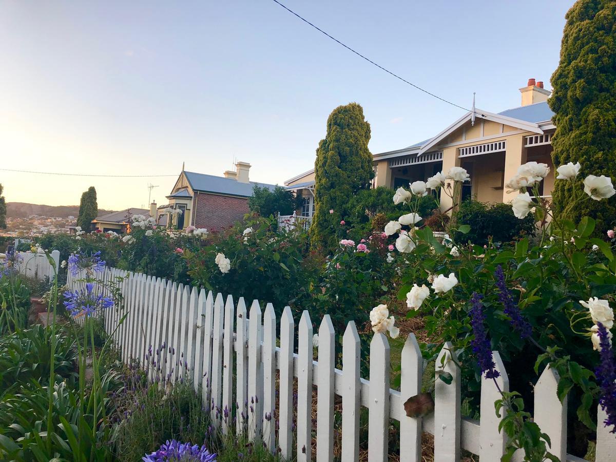 アルバニー Dunmoylen House Bed & Breakfast エクステリア 写真